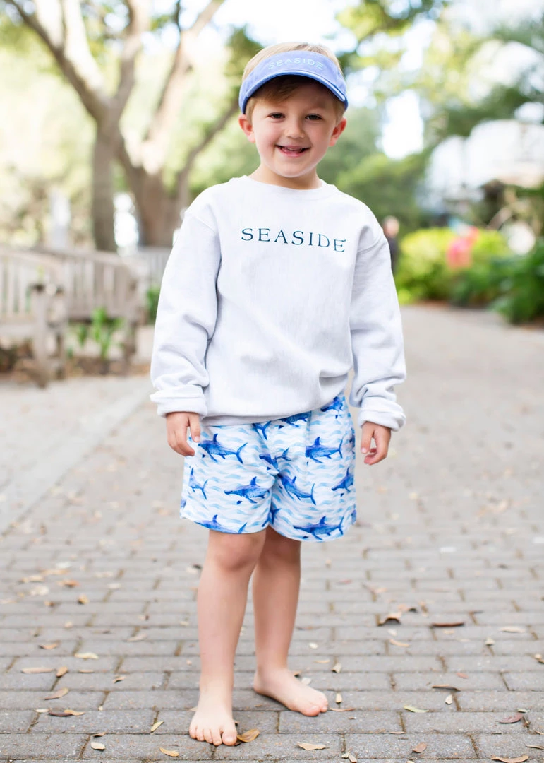 CHAMPION KIDS Grey Youth Reverse Weave Crewneck Sweatshirt 1 CHAMPION KIDS Grey Youth Reverse Weave Crewneck Sweatshirt